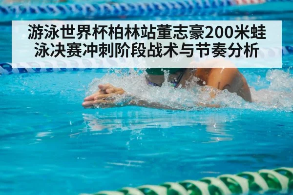游泳世界杯柏林站董志豪200米蛙泳决赛冲刺阶段战术与节奏分析